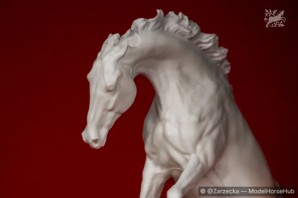Hindquarters