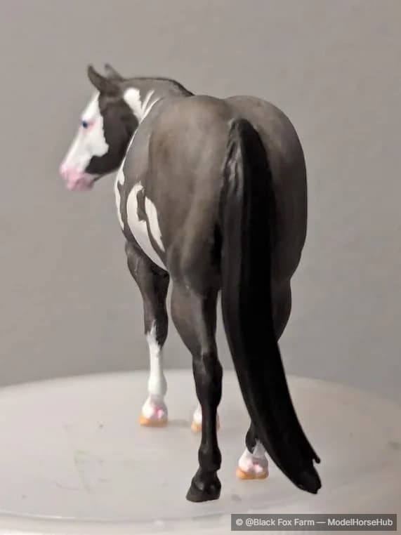 Hindquarters