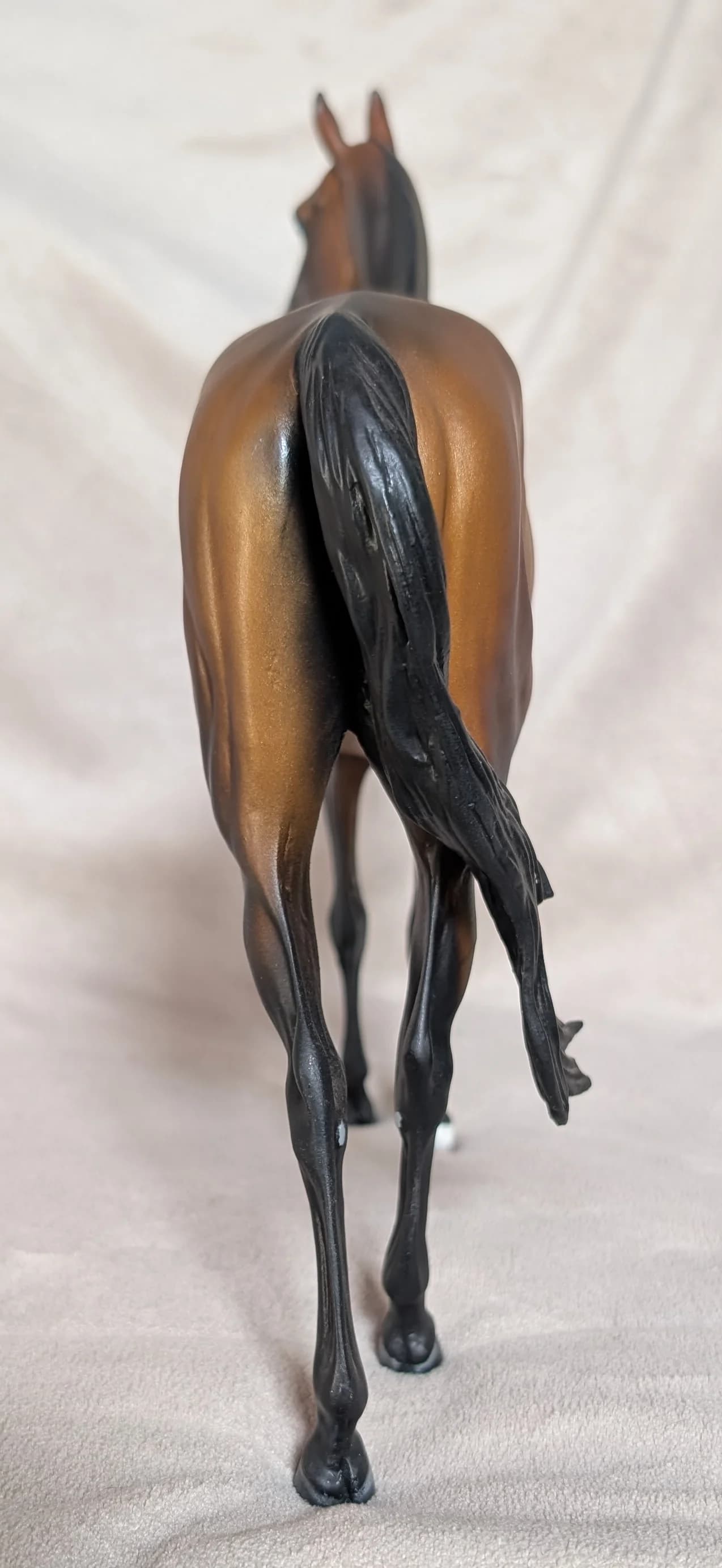 Hindquarters
