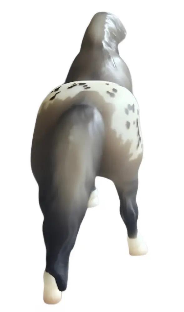 Hindquarters