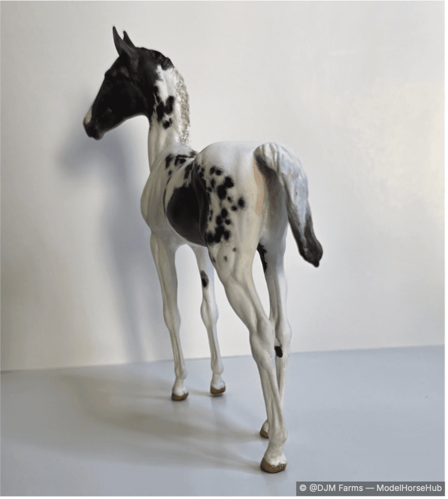 Hindquarters