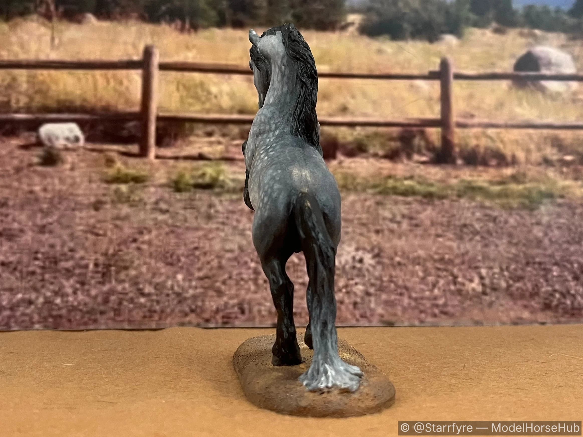 Hindquarters