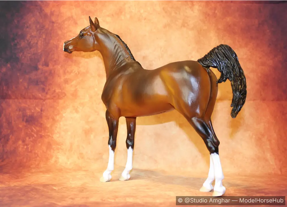 Hindquarters