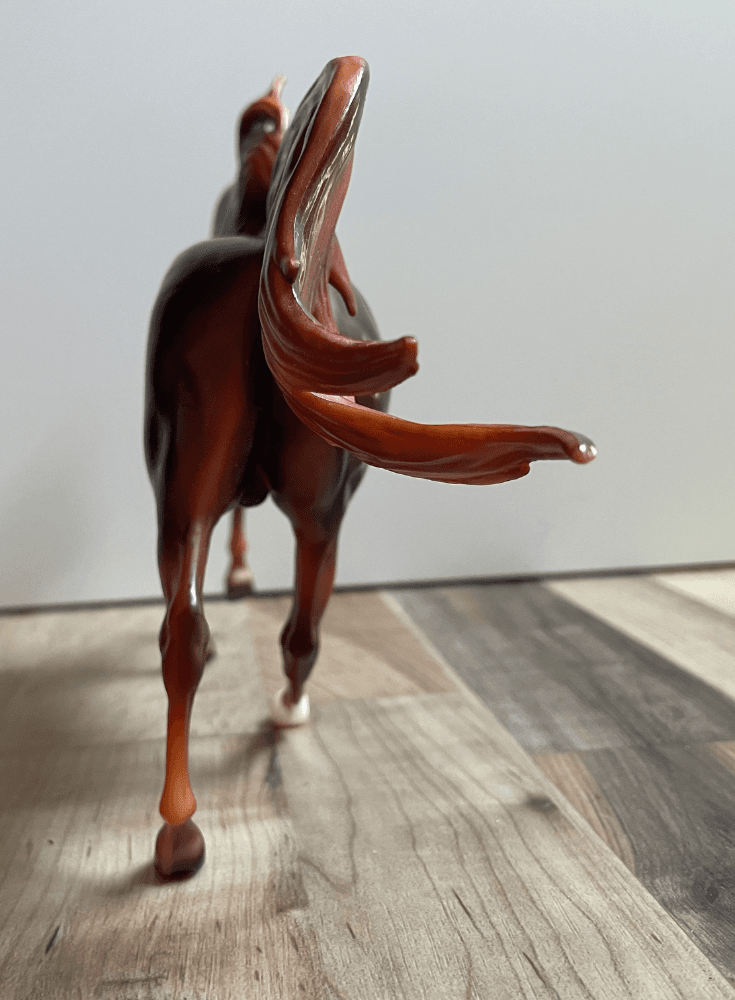 Hindquarters