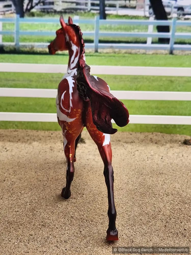 Hindquarters