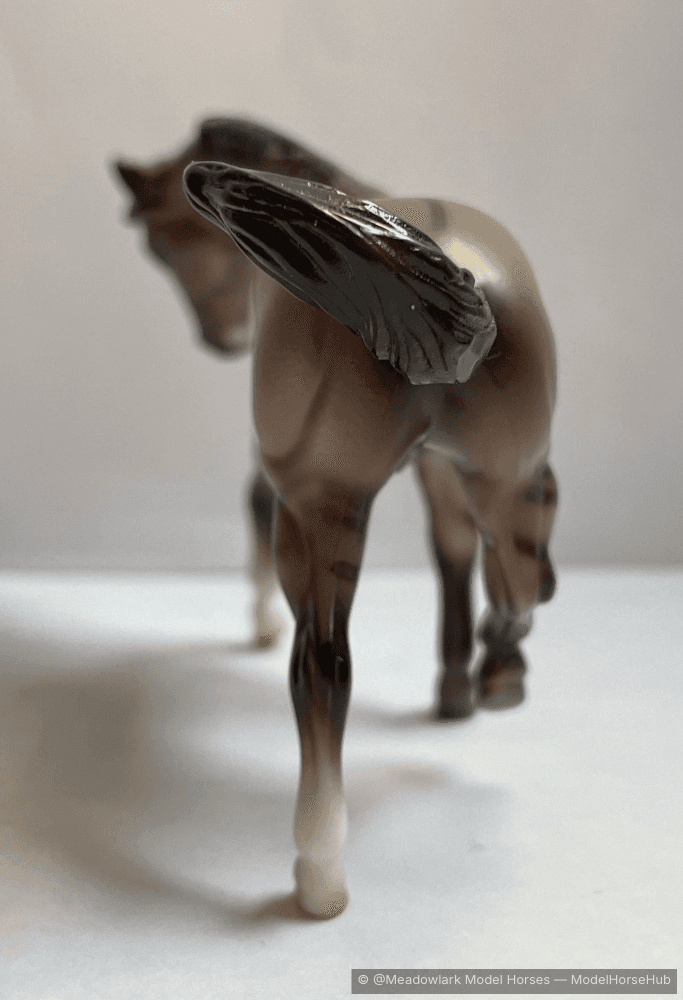 Hindquarters