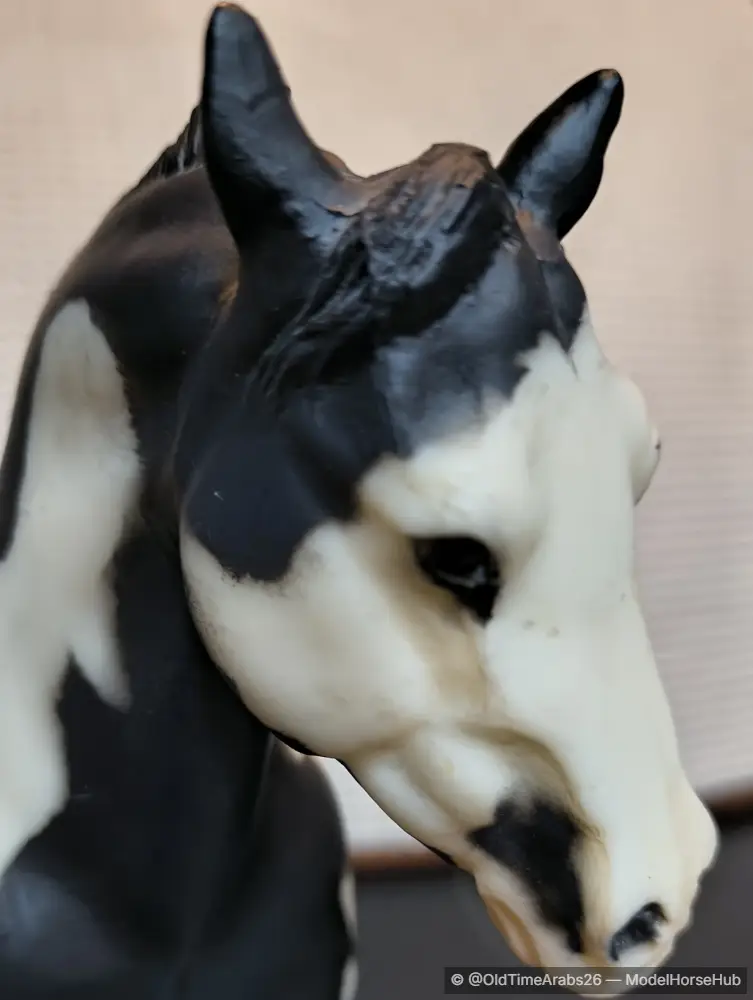 Hindquarters